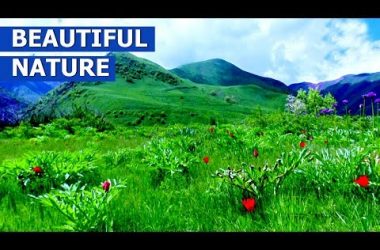 Табиати Зебои Тоҷикобод / beautiful nature of Tajikistan
